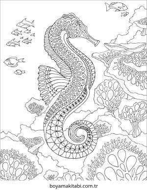 Seahorse boyama sayfası – evde etkinlik, ücretsiz yazdır