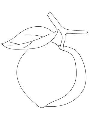 Şeftali boyama sayfası,  coloring page, Basit Şeftali 2, 