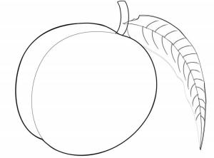 Şeftali boyama sayfası,  coloring page, Güzel şeftali, 