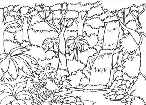 Şelale boyama sayfası,  coloring page, Ormandaki Şelale, 