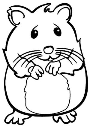 Sevimli Hayvan boyama sayfası,  coloring page, Gülümseyen Hamster, 