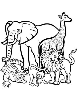 Sevimli Hayvan boyama sayfası,  coloring page, Vahşi Hayvanlar, 