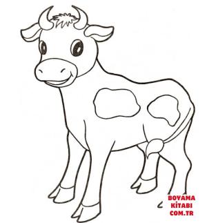 Sığır boyama sayfası, Cattle coloring page, , cattle baby cow 