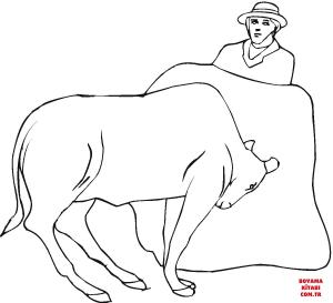 Sığır boyama sayfası, Cattle coloring page, , cattle bullfighter and bull 