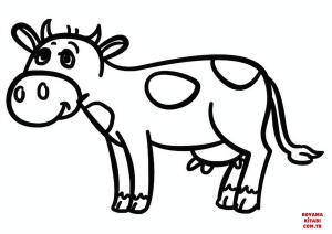 Sığır boyama sayfası, Cattle coloring page, , cattle cartoon cow 