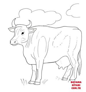 Sığır boyama sayfası, Cattle coloring page, , cattle cow and clouds 