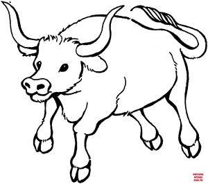 Sığır boyama sayfası, Cattle coloring page, , cattle bull 