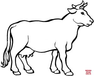 Sığır boyama sayfası, Cattle coloring page, , cattle cow 