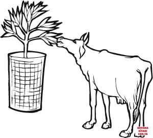 Sığır boyama sayfası, Cattle coloring page, , cattle cow eats leaf 