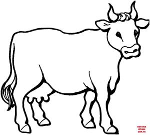 Sığır boyama sayfası, Cattle coloring page, , cattle cow 