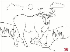 Sığır boyama sayfası, Cattle coloring page, , cattle bull 