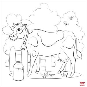 Sığır boyama sayfası, Cattle coloring page, , cattle cow 