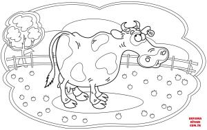 Sığır boyama sayfası, Cattle coloring page, , cattle cow 