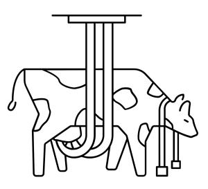 Sığır boyama sayfası, Cattle coloring page, , cattle animal welfare 