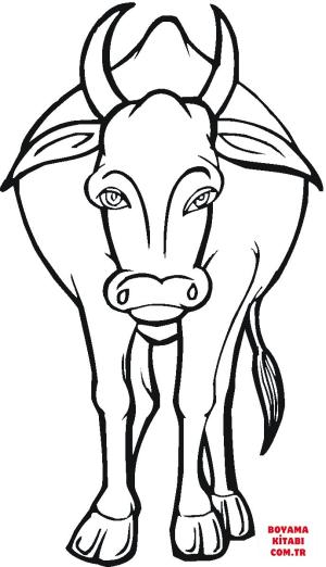 Sığır boyama sayfası, Cattle coloring page, , cattle cow 