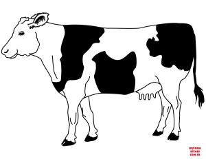 Sığır boyama sayfası, Cattle coloring page, , cattle black and wite cow 