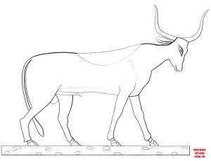 Sığır boyama sayfası, Cattle coloring page, , cattle ancient egyptian bull 