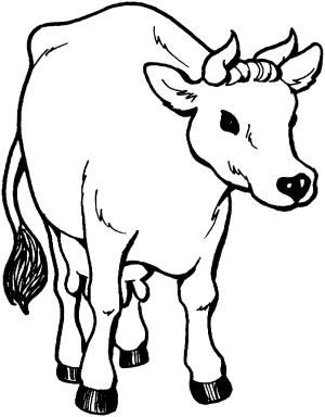 Sığır boyama sayfası, Cattle coloring page, , cattle cow 