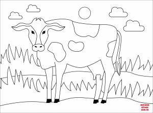 Sığır boyama sayfası, Cattle coloring page, , cattle cow 