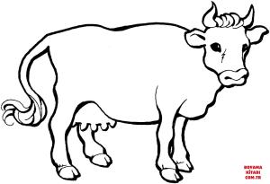 Sığır boyama sayfası, Cattle coloring page, , cattle cow 