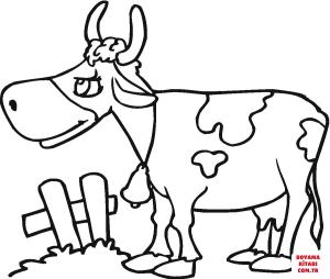 Sığır boyama sayfası, Cattle coloring page, , cattle cow illustration 