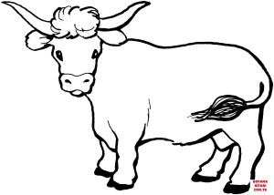 Sığır boyama sayfası, Cattle coloring page, , cattle cow 