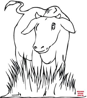 Sığır boyama sayfası, Cattle coloring page, , cattle cow 