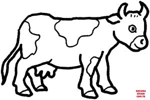 Sığır boyama sayfası, Cattle coloring page, , cattle cow 