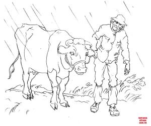 Sığır boyama sayfası, Cattle coloring page, , cattle cow with a man 