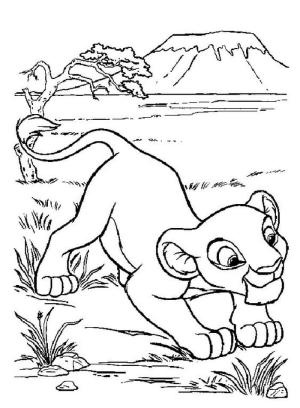 Simba boyama sayfası,  coloring page, Güzel Simba, 