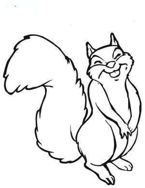 Sincap boyama sayfası, Squirrels coloring page, Sincap Güleryüzlü, 