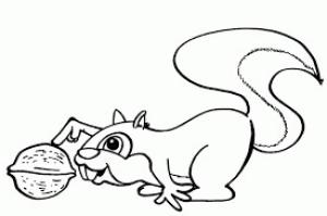 Sincap boyama sayfası, Squirrels coloring page, Sincap Komik, 