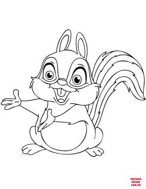 Sincap boyama sayfası, Squirrels coloring page, , squirrels cute chipmunk 