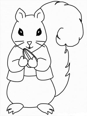 Sincap boyama sayfası, Squirrels coloring page, Bayan Sincap, 