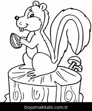 Sincap boyama sayfası – sanatsal çalışma, çocuklar için