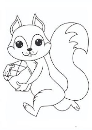 Sincap boyama sayfası, Squirrels coloring page, Koşan Sincap, 