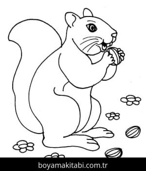 Sincap boyama sayfası – PDF indir, sevimli karakter