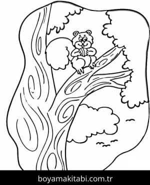 Sincap boyama sayfası – keyifli zaman, renkli çizimler