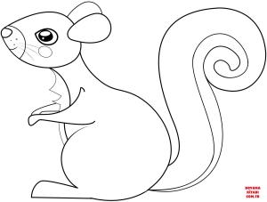 Sincap boyama sayfası, Squirrels coloring page, , squirrels cute squirrel 