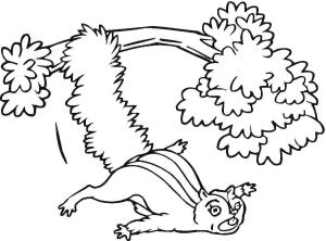 Sincap boyama sayfası, Squirrels coloring page, Ağaçtan Düşen Sincap, 