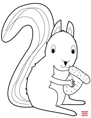 Sincap boyama sayfası, Squirrels coloring page, , squirrels squirrel with acorn 