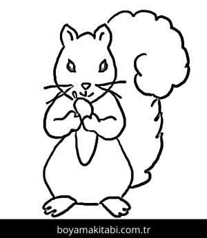 Sincap boyama sayfası – sanatsal çalışma, çocuklar için