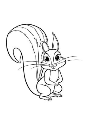 Sincap boyama sayfası, Squirrels coloring page, Sevimli Sincap, 