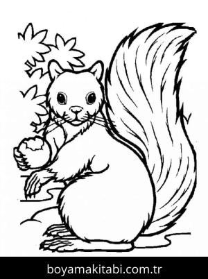 Sincap boyama sayfası – evde etkinlik, ücretsiz yazdır