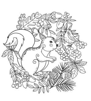 Sincap boyama sayfası, Squirrels coloring page, Sincap ve Kuş, 