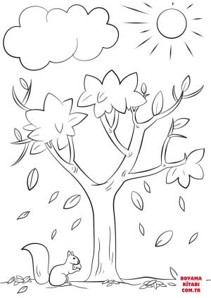 Sincap boyama sayfası, Squirrels coloring page, , squirrels autumn squirrel 