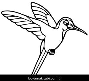 Sinek Kuşu boyama sayfası – yaratıcılığı geliştirir, keyifli zaman