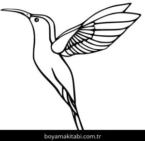 Sinek Kuşu boyama sayfası – okul öncesi, evde etkinlik