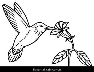 Sinek Kuşu boyama sayfası – eğlenceli etkinlik, el becerilerini geliştirir