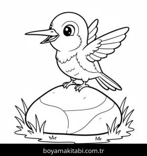 Sinek Kuşu boyama sayfası – boyama çalışması, yaratıcılığı geliştirir